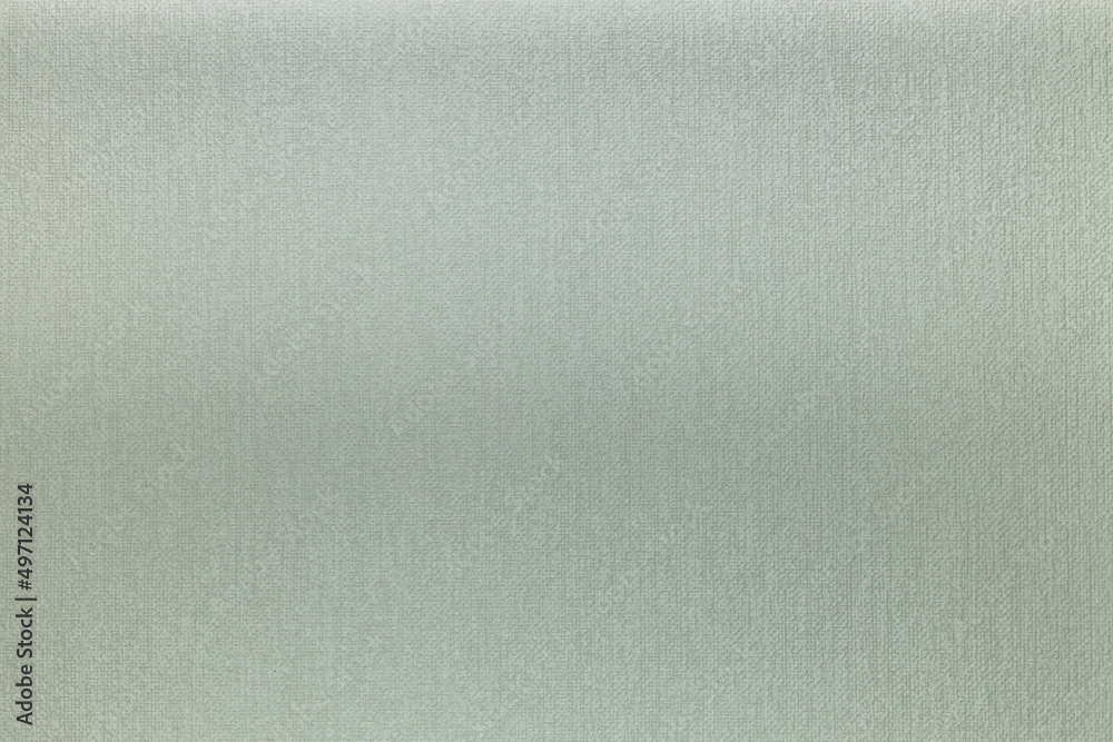 Fototapeta premium Light natural linen material texture or background