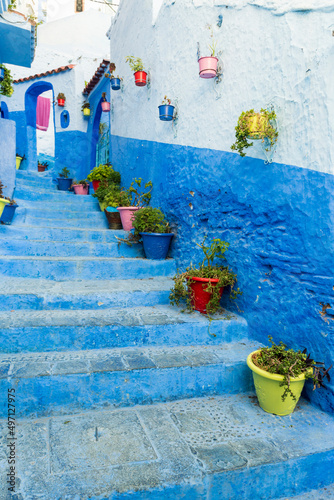 Morocco, Chefchaouen, Potted plants on steps and traditional blue house © Image Source