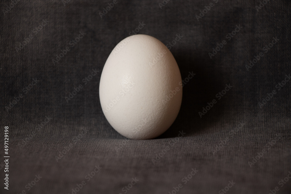 One white chicken egg on a gray background close up One white chicken egg on a gray background close up