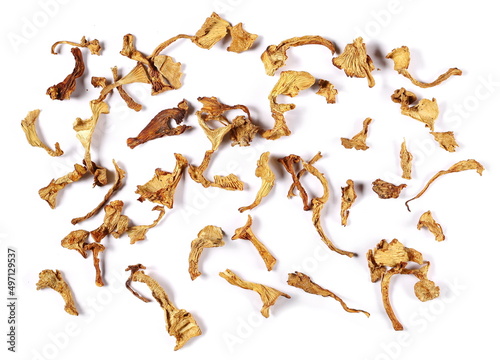 Dried chanterelle mushroom, (Cantharellus cibarius) isolated on white, top view