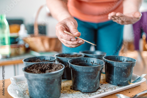 Farmers woman hands with gardening gloves planting seeds in pot at home