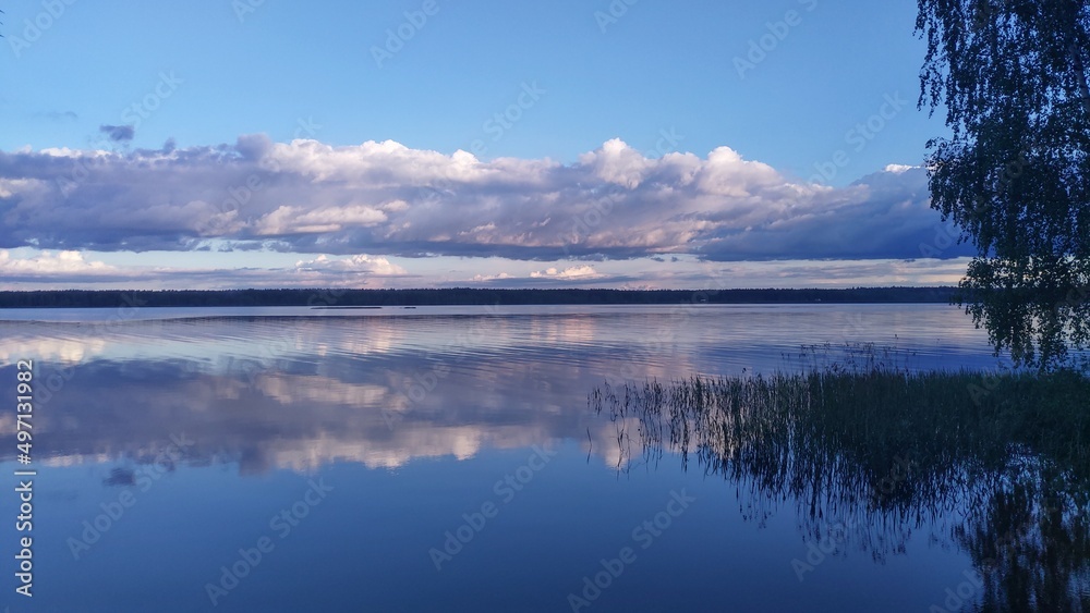 The branches of a birch tree overhang the water. Reeds grow in the water near the shore of the lake and there are ripples. On the opposite shore is a forest. The blue sky with clouds is reflected 