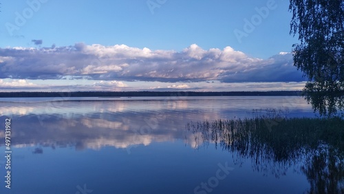 The branches of a birch tree overhang the water. Reeds grow in the water near the shore of the lake and there are ripples. On the opposite shore is a forest. The blue sky with clouds is reflected  © Balser