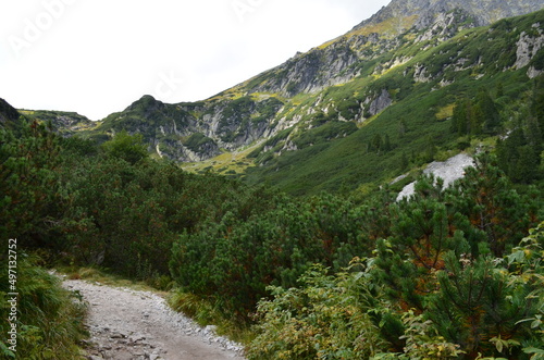 Tatry, Dolina Roztoki, początkowy odcinek szlaku do Doliny Pięciu Stawów, Polska