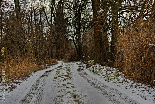 Kręta , gruntowa droga biegnąca przez zadrzewiony obszar ( las) zimą , posypana śniegiem . photo