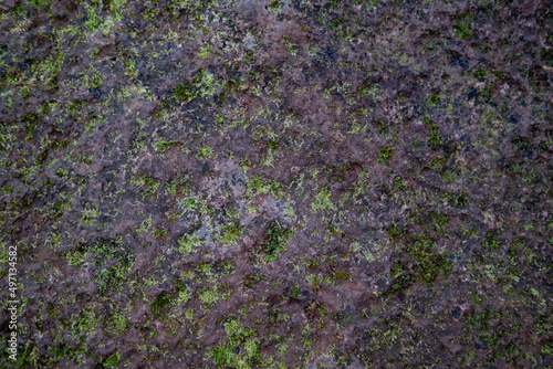 closeup of stone with moss