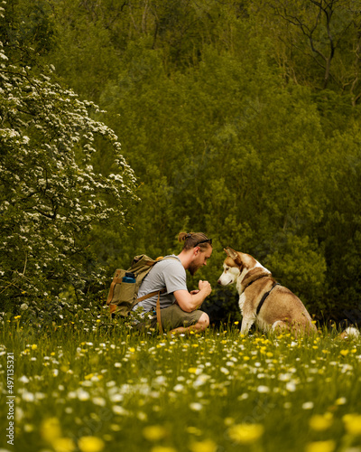man and husky sat in a meadow of flowers