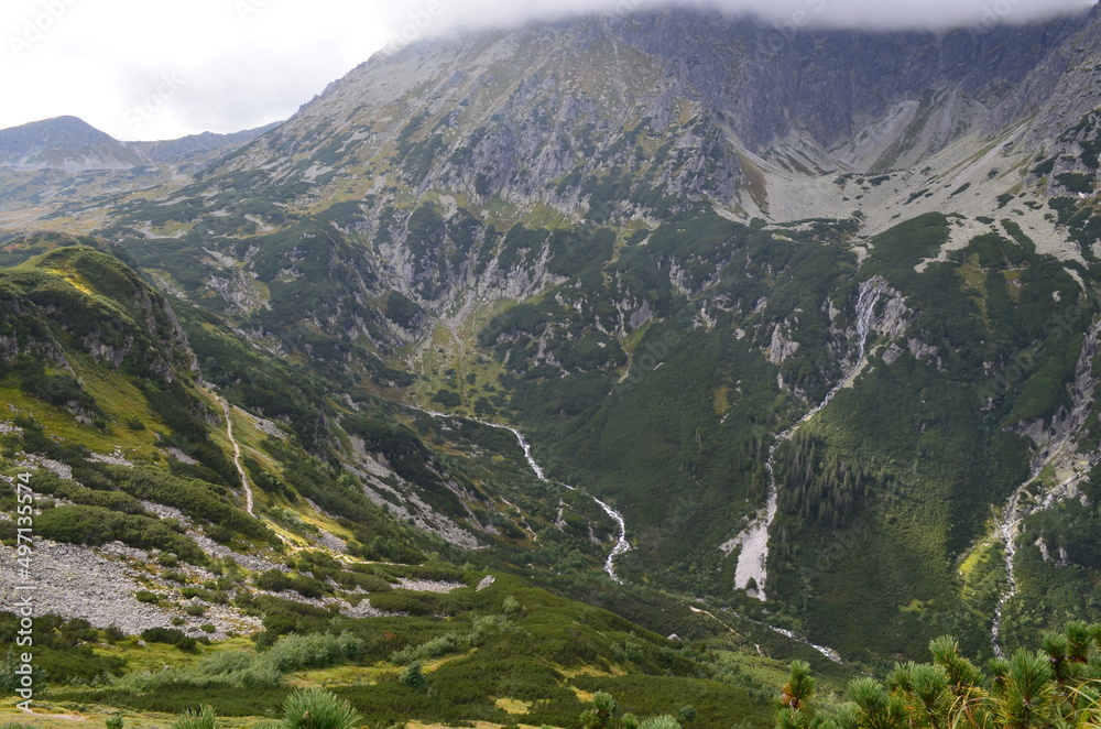 Fototapeta premium Tatry Polskie, Dolina Roztoki widziana z góry ze szlaku na Świstową Czubę latem