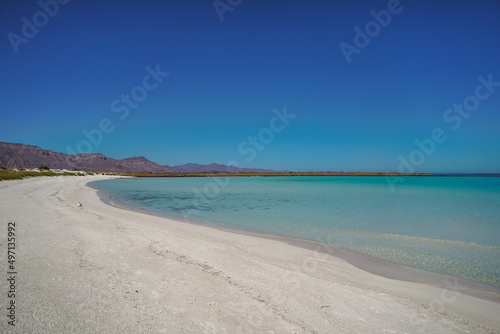 White Sandy Beach with Crystal Clear Turquoise Sea Water