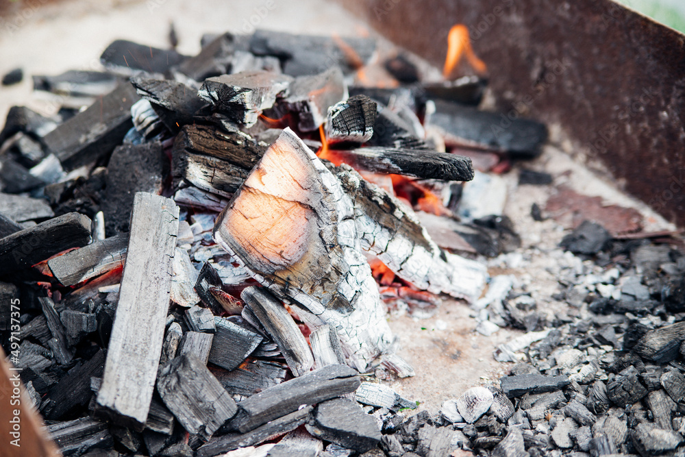 A brightly burning bonfire with a red flame made from wood in an outdoor grill.An adventurous lifestyle in travel. Active weekend recreation in the wild outdoors. A brightly burning bonfire with a red flame made from wood in an outdoor grill.An adventurous lifestyle in travel. Active weekend recreation in the wild outdoors.