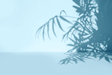 Palm leaves shadow on blue wall background and pastel floor. Summer tropical beach background. Empty room for product presentation. Minimal concept.