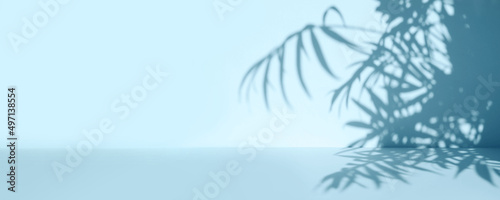 Palm leaves shadow on blue wall background and pastel floor. Summer tropical beach background. Empty room for product presentation. Minimal concept. Banner