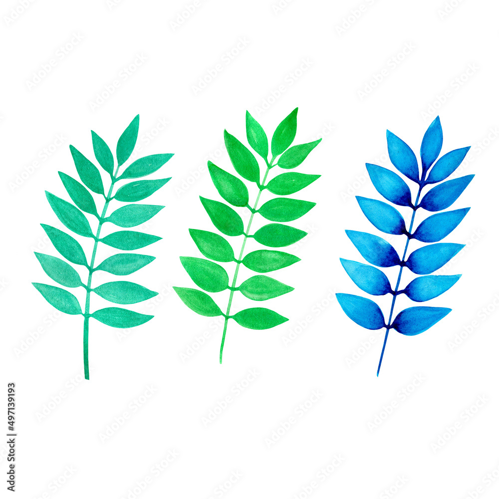 watercolor illustration of a set of blue and green branches with leaves on a white background hand drawn
