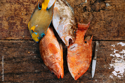 Fresh, colorful fish lying on a wood table ready to be cleaned