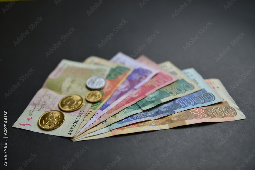A closeup of Pak Rupee Coins and Bank Notes 