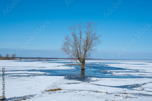 spring landscape from the lake shore, white ice cubes, blue sky, Lake Burtnieki, Latvia. photo