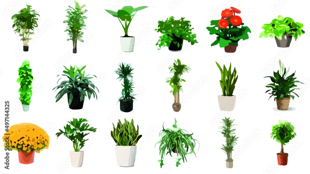 plant pot herb leaf vector