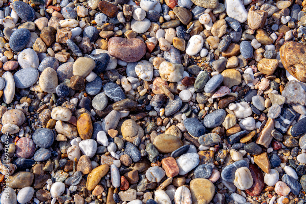 Wet pebbles on the beach. Multi-colored smooth pebble