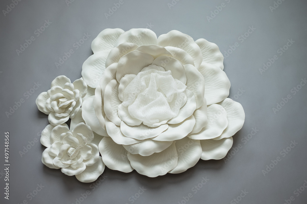 digital photography background flower for newborn and baby. digital photography background flower for newborn and baby.