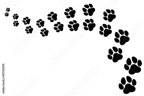 Trace and path of animal tracks, dog and cat moving away
