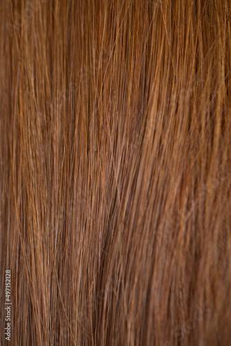 Natural Red Hair Texture  ginger color  macro.
