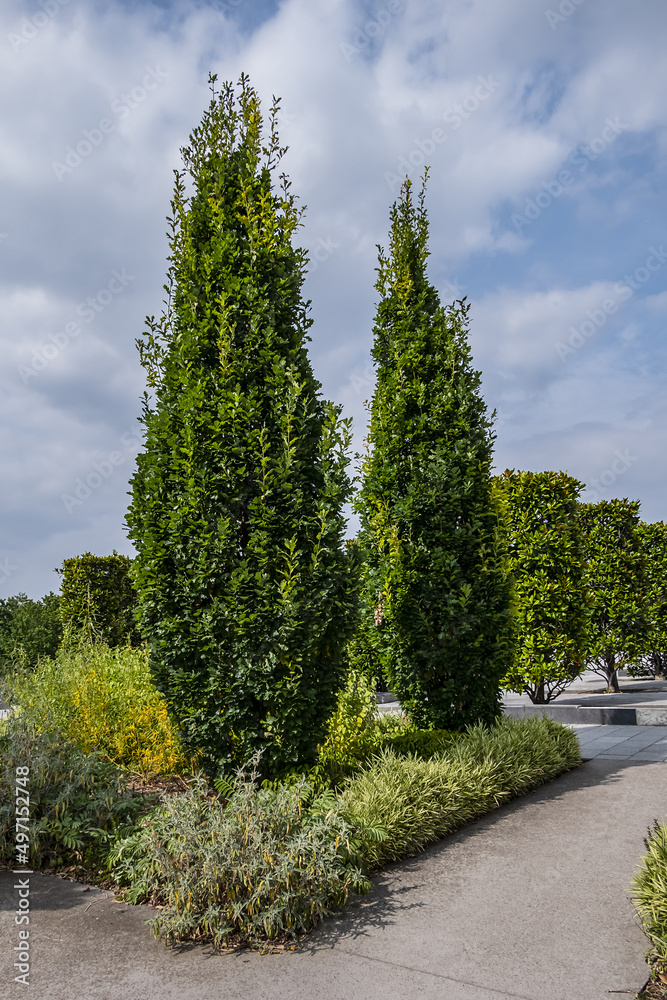 Picturesque Paris Public Parc Andre Citroen - Park located on left bank of river Seine in the 15th arrondissement. Paris, France.