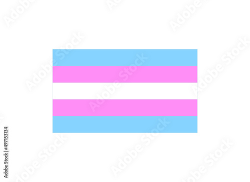 Transgender flag. Concept of pride flag and transgender community, organizations, and individuals.

