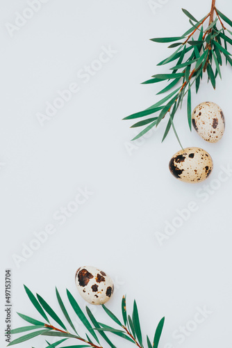 Easter concept with olive tree branches and quail eggs on white background. Copyspace topview photo