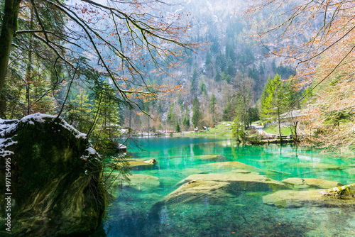 lake in the forest