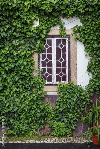 Ornamental wooden window composes traditional residential architecture with vast green foliage.