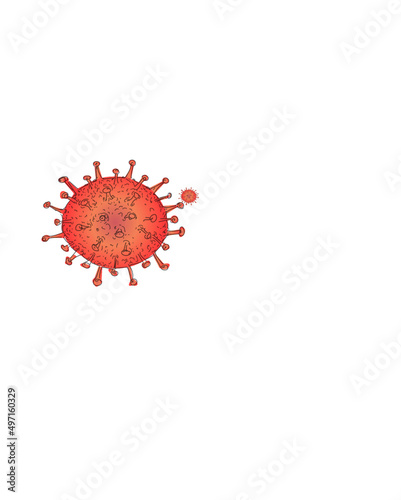 covid 19 / coronavirus