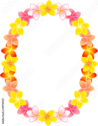 楕円形のプルメリアの花飾りのイラスト
