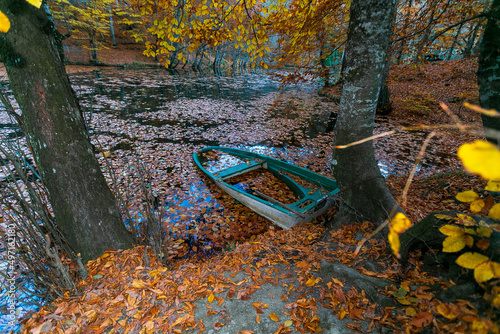 Picnic site with many benches in oak forest in Yedigoller National Park, Bolu Turkey. Empty picnic tables with autumn leaves, multiple colors photo