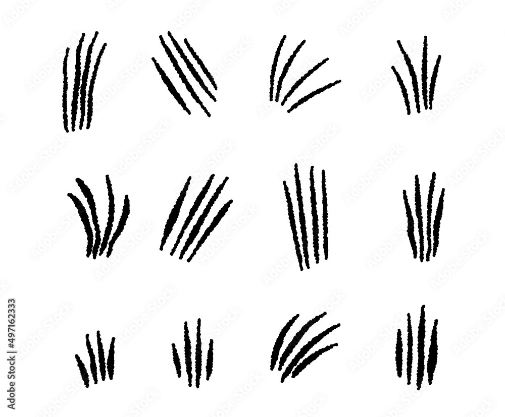 animal scratches set animal scratches set