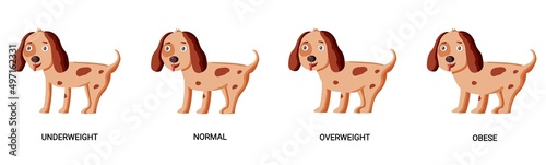 Dog body condition chart in cartoon style. Vector veterinary illustration