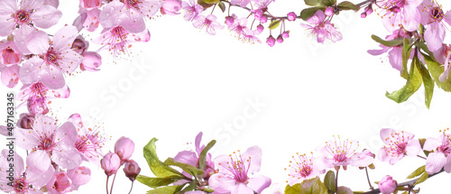 Beautiful blooming branches on white background with space for text. Hello spring