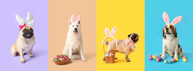 Set of different dogs with Easter eggs and decor on colorful background