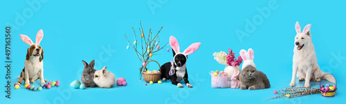 Set of different animals wi...