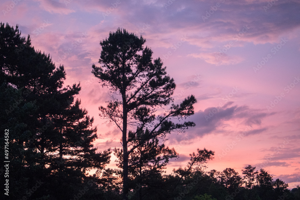 Fototapeta premium Southern Sunsets