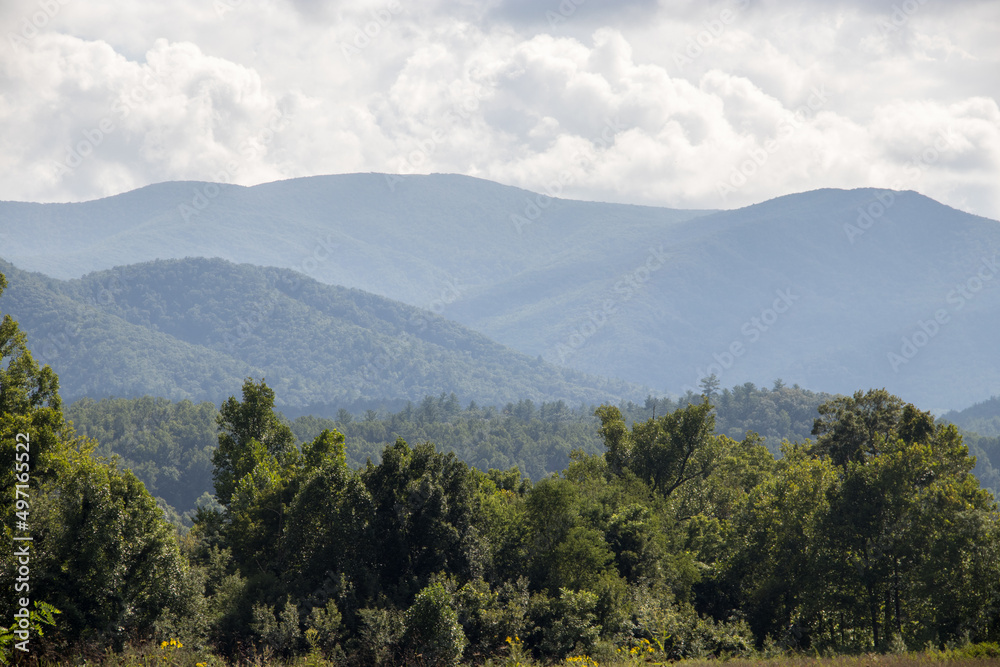 Fototapeta premium Summer in the Smokies