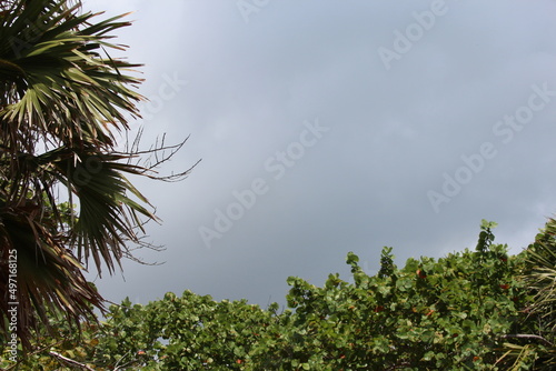 Dark tropical cloudscape sky during spring