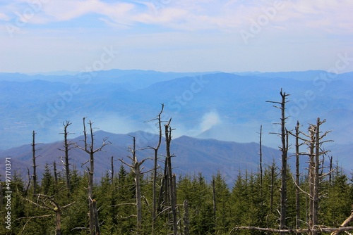 Smoky Mountain Strolls