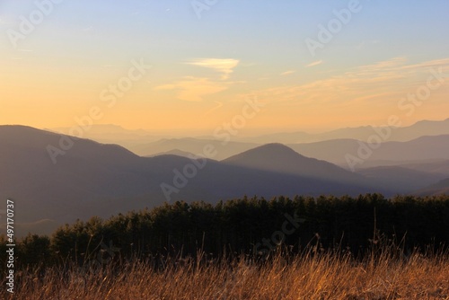Fototapeta Naklejka Na Ścianę i Meble -  Smoky Mountain Strolls