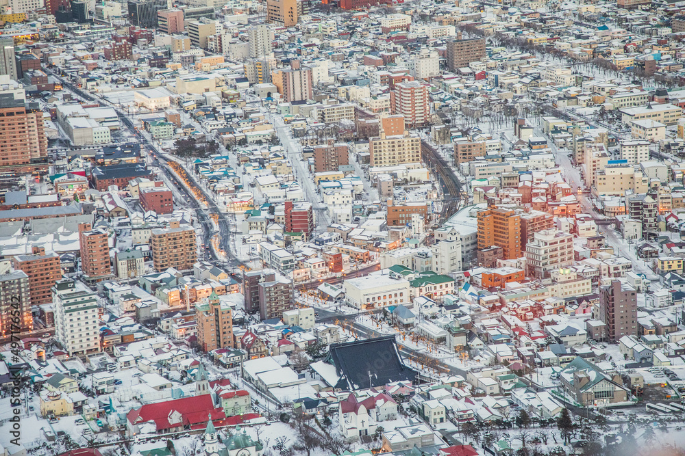 cityscape of Hakodate