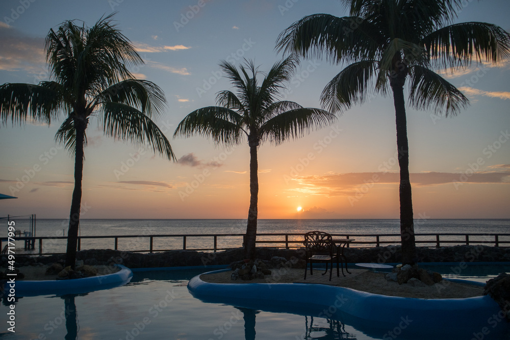 Obraz premium Relaxing in Roatan