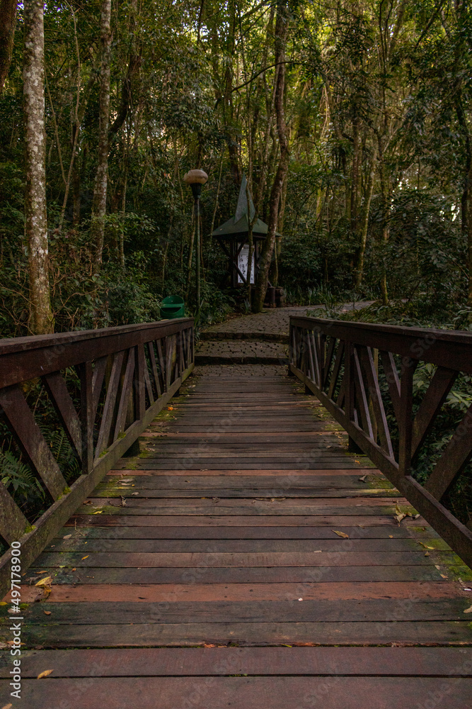 Fototapeta premium Parque Tanguá, Curitiba, Paraná