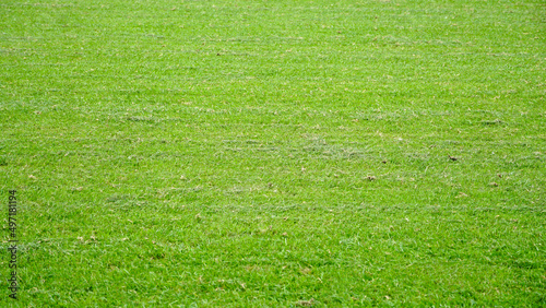 Gramado verde de um campo de futebol photo