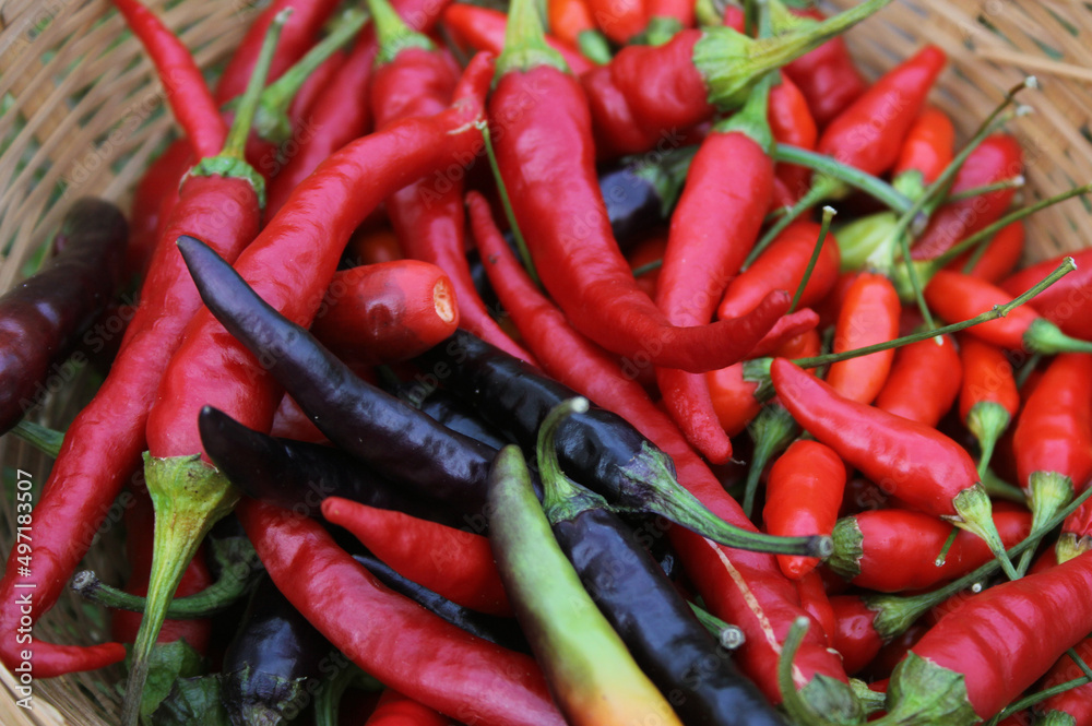 Colorful Basket of Peppers at a Rural Farmers Market Colorful Basket of Peppers at a Rural Farmers Market