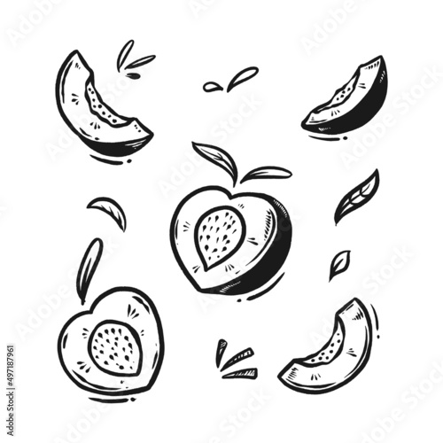 peach fruit doodle set hand drawn illustration