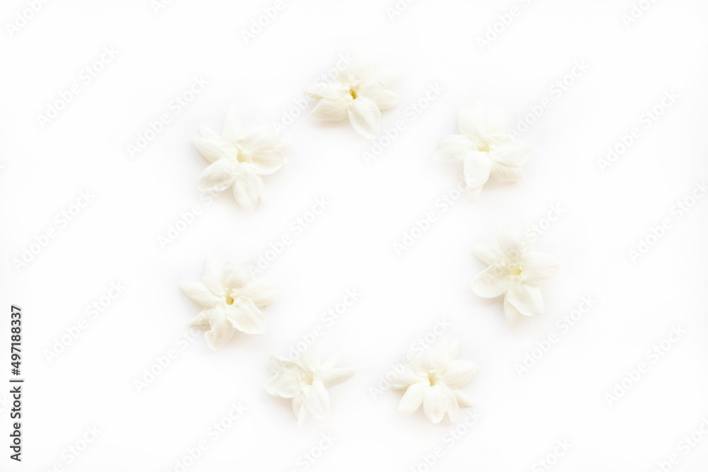 Obraz premium white flowers jasmine local flora of asia arrangement flat lay circle postcard style on background white 